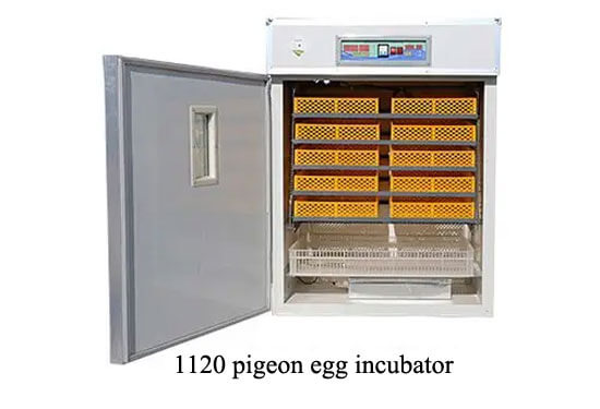 1120 pigeon egg incubator 