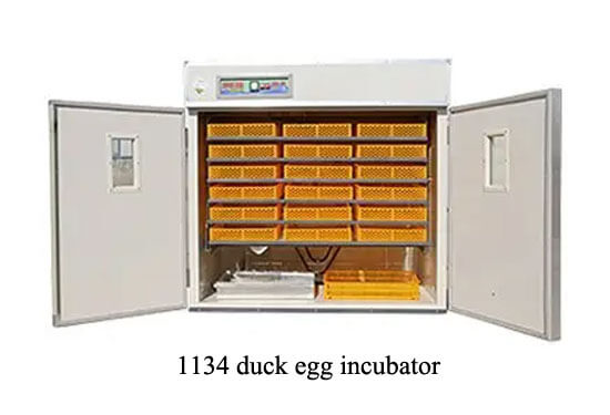 1134 duck egg incubator 