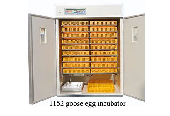 1152 goose egg incubator 