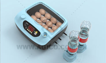 12 parrot incubator for sale 