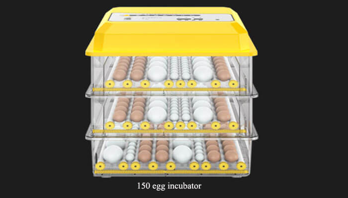 150 egg incubator 