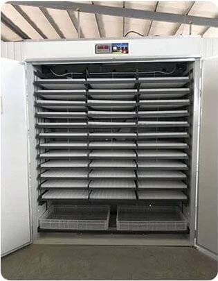 15912 commercial quail egg incubator 