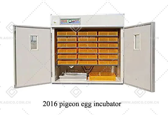 2016 pigeon egg incubator 