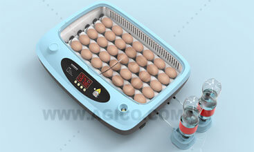 35 parrot incubator for sale 