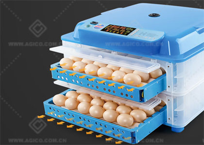 Comparison of Small-Capacity Incubators: Which One is Right for You 36-Egg,64-Egg or 150-Egg Incubator?