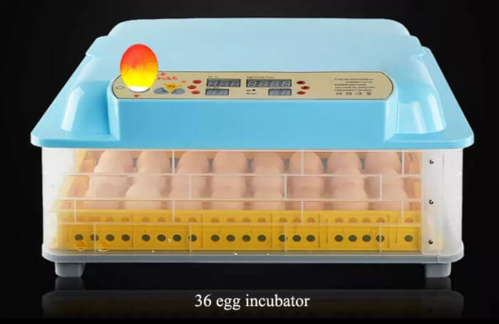 36 egg incubator 