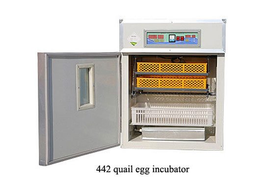 442 quail egg incubator 