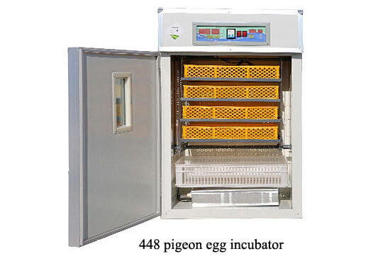 448 pigeon egg incubator 