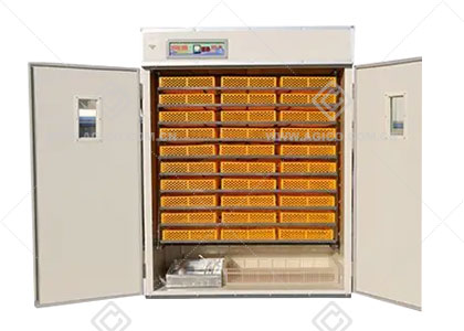 5000 Egg Incubator