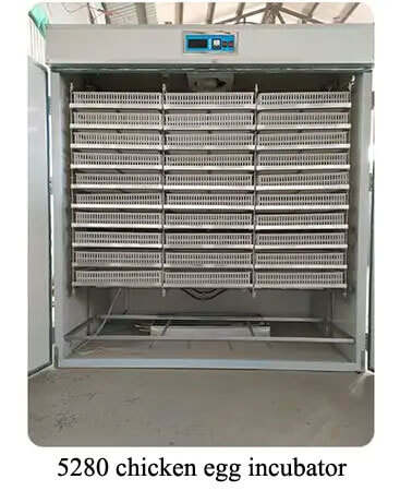 5280 chicken egg incubator 