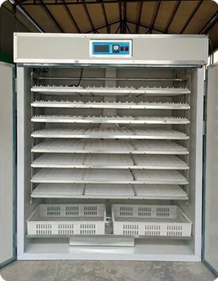 5304 commercial quail egg incubator 