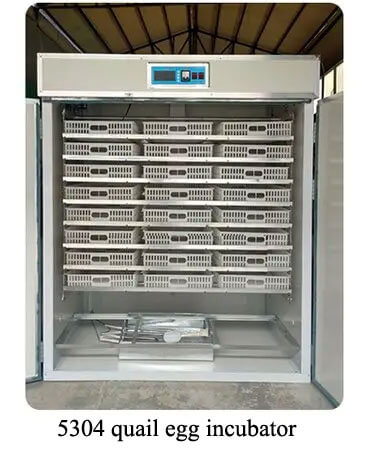 5304 quail egg incubator 