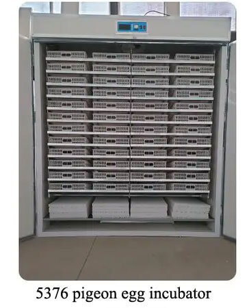 5376 pigeon egg incubator 