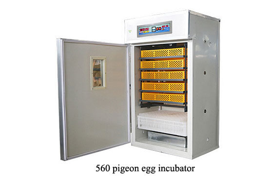 560 pigeon egg incubator 