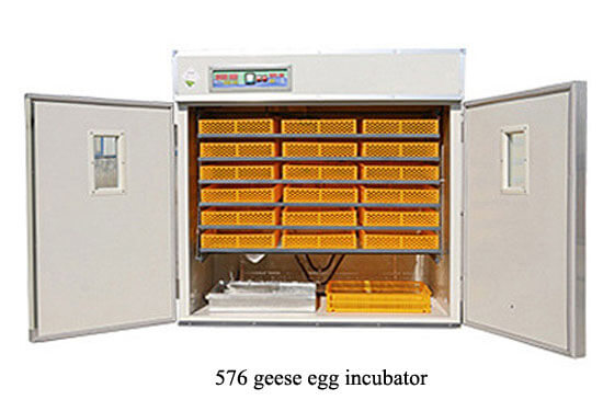 576 geese egg incubator 