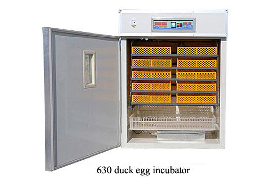 630 duck egg incubator 