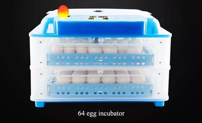 64 egg incubator 