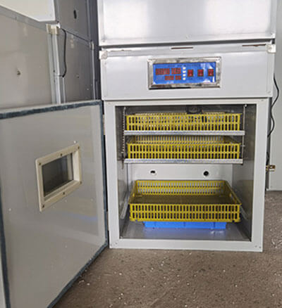 64 goose egg incubators for sale 