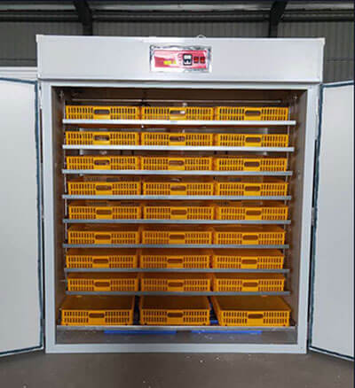 768 goose egg incubators for sale 