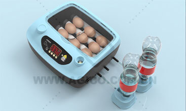 9 parrot incubator for sale 