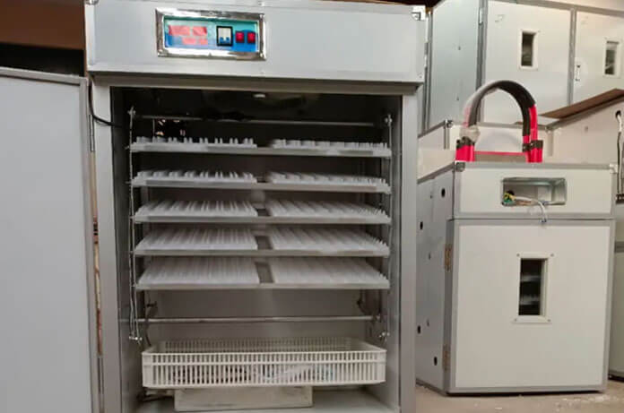 AGICO Pigeon Egg Incubator for Sale 