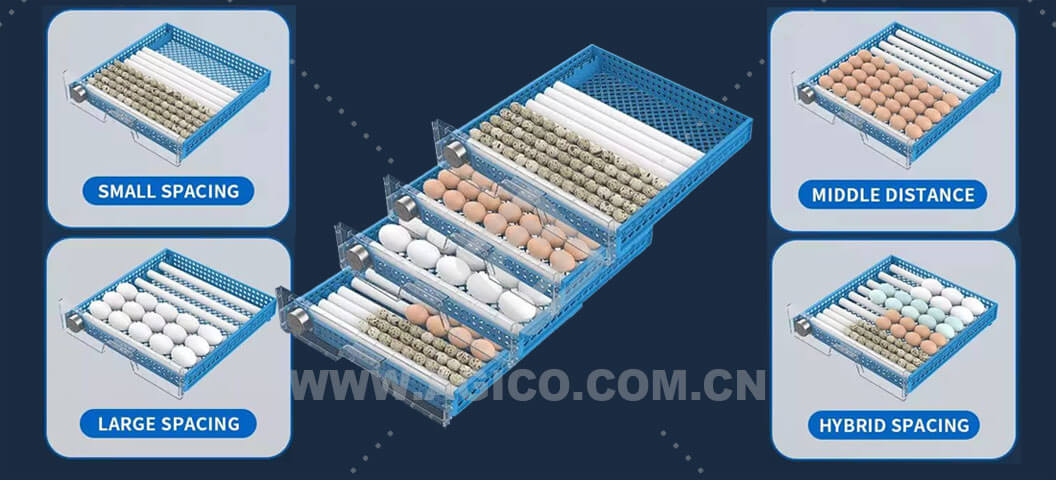 Adjustable roller egg tray to hatch eggs of different sizes 