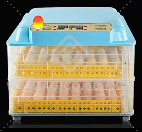 Automatic egg flipping function of incubator 