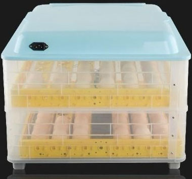 Back of the Incubator 