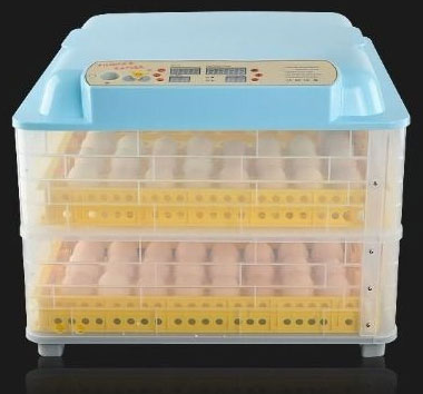 Front of the Incubator 