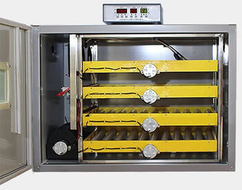 The Humidity in the Automatic Egg Hatching Machine is Too High or Too Low