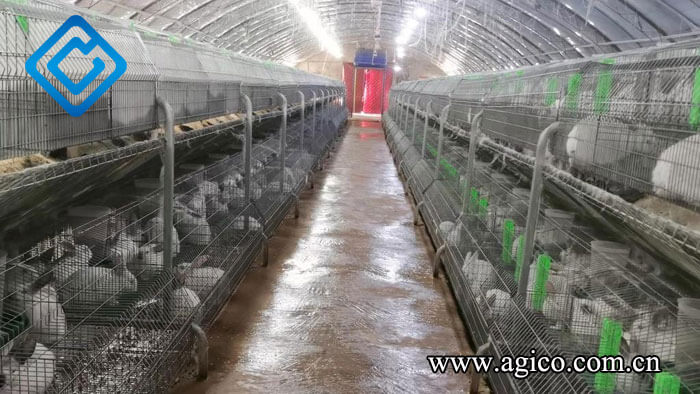 Key Points of Commercial Rabbit Cage Design