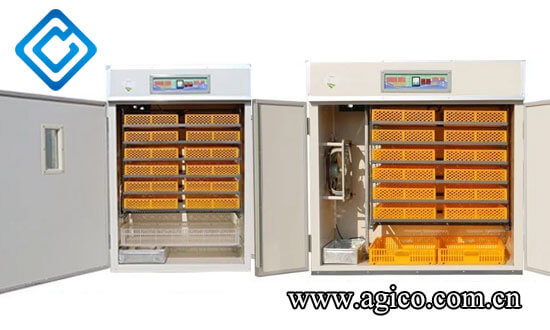 Medium scale poultry hatchery machine