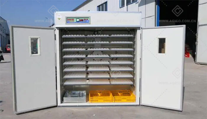 Medium scale egg incubator for sale 