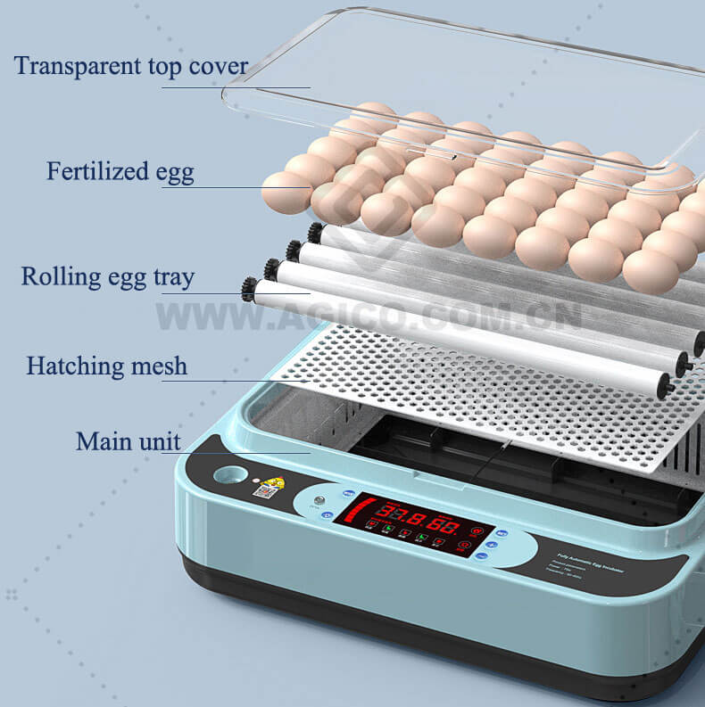 Parrot Egg Incubator for Sale 