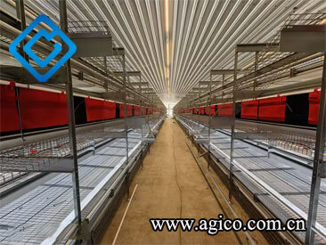 cage-free aviary system in poultry housing 