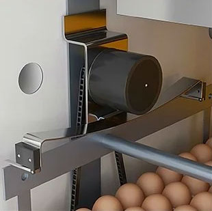 chain egg turning systom 