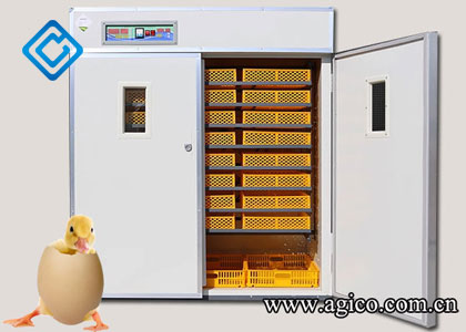 Commercial Duck Egg Incubator