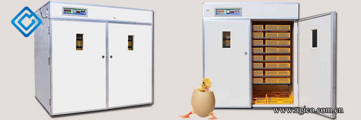 Commercial Duck Egg Incubator for sale