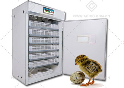 Commercial Quail Egg Incubator