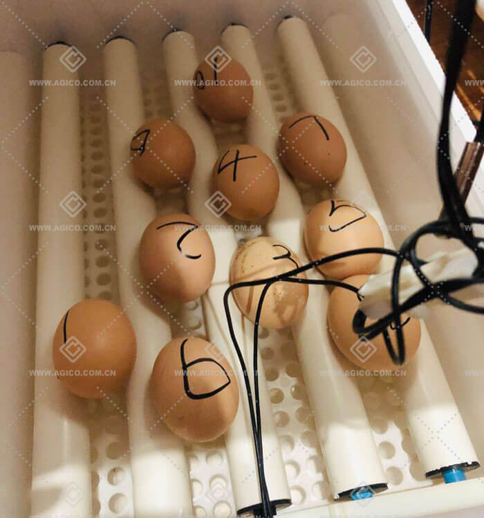 egg incubator with automatic turner 