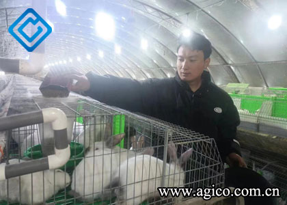 Essential Elements of Effective Commercial Rabbit Cage Design