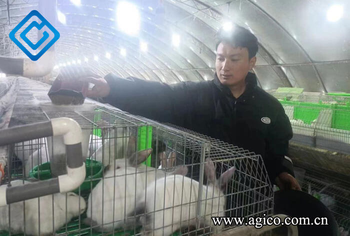 Essential Elements of Effective Commercial Rabbit Cage Design