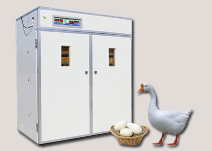 Goose Incubator