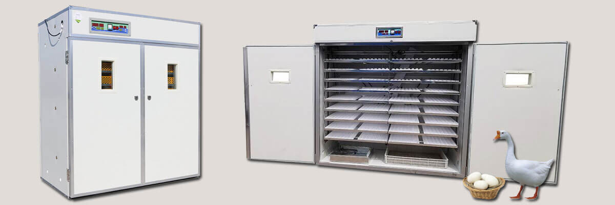 goose egg incubators for sale 