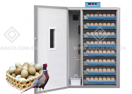 Pheasant Incubator