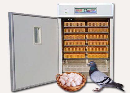 Pigeon Egg Incubator