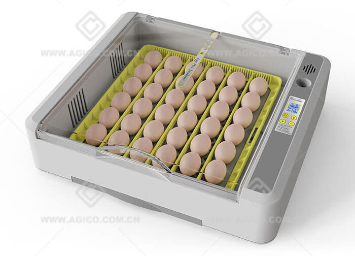 Recommended Small Egg Incubators for Beginners Home Use