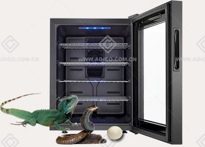 Small Reptile Incubator