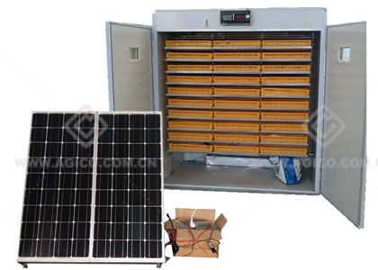 Solar Egg Incubator