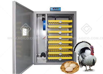 Turkey Egg Incubator